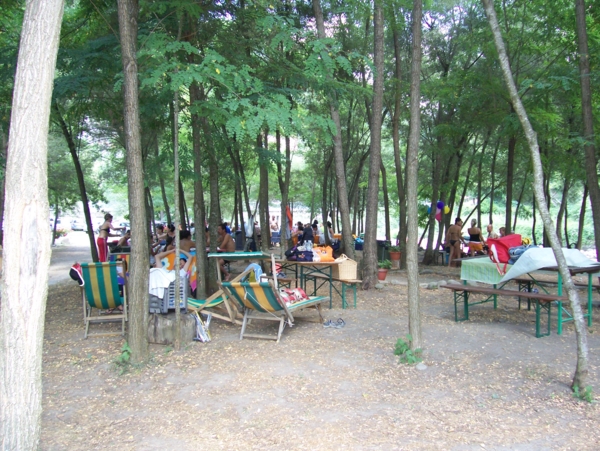  Image name: Parco16.jpg 
 width: 600 pixel 
 height: 451 pixel 
 Size: 311006 bytes 
 Click to enlarge 